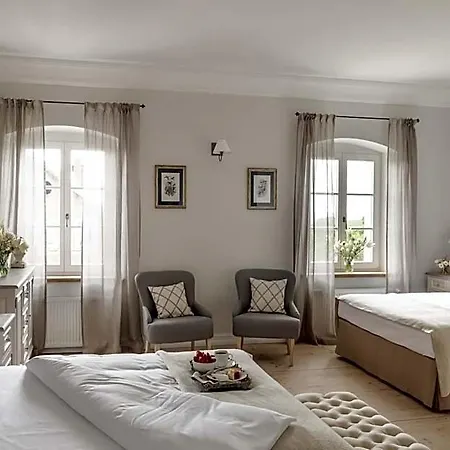 Palac Kamieniec Отель типа 