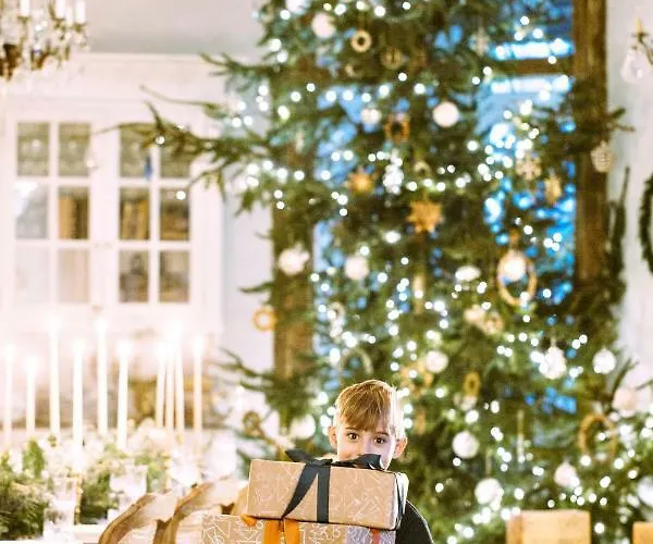 Palac Kamieniec 3* Bad Altheide